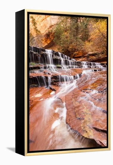 Zion NP, Utah, USA: Archangel Waterfall (Cascades) River Forks Off North Creek Along Hike To Subway-Axel Brunst-Framed Premier Image Canvas