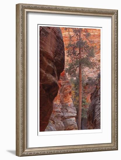 Zion Park Canyon-Donald Paulson-Framed Giclee Print