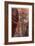 Zion Park Canyon-Donald Paulson-Framed Giclee Print