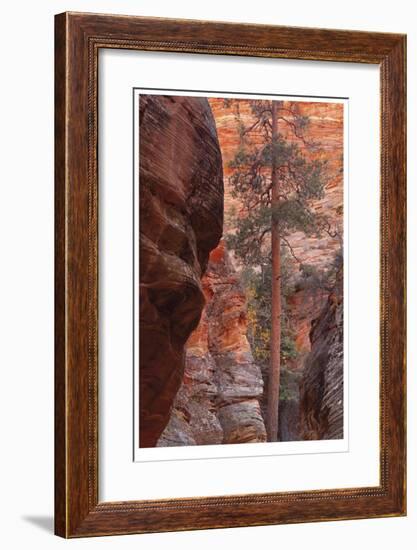 Zion Park Canyon-Donald Paulson-Framed Giclee Print