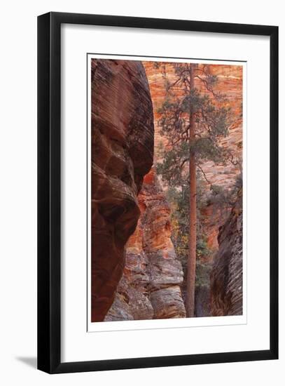 Zion Park Canyon-Donald Paulson-Framed Giclee Print