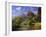 Zion-Bill Makinson-Framed Giclee Print