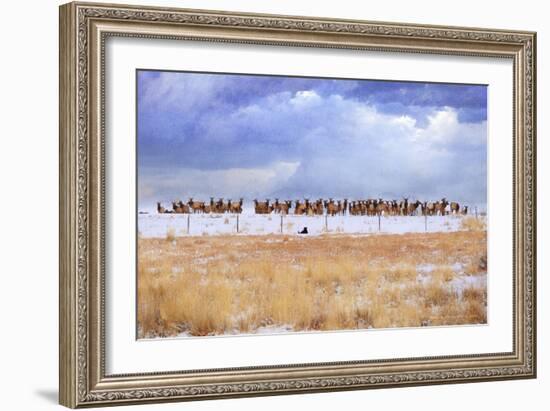 Zippy and the Elk-Chris Vest-Framed Art Print