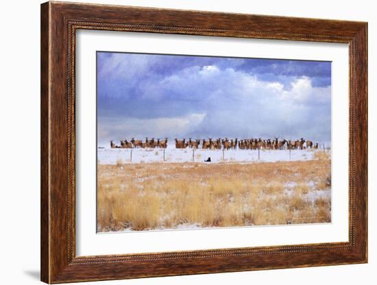 Zippy and the Elk-Chris Vest-Framed Art Print