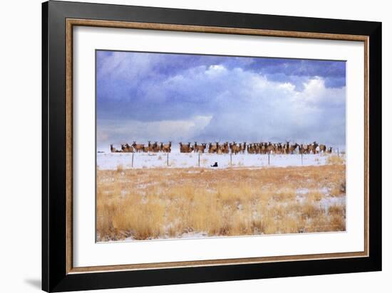 Zippy and the Elk-Chris Vest-Framed Art Print