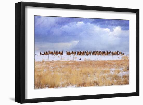 Zippy and the Elk-Chris Vest-Framed Art Print