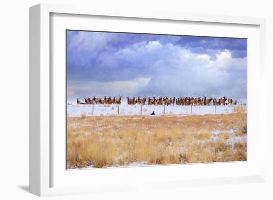 Zippy and the Elk-Chris Vest-Framed Art Print