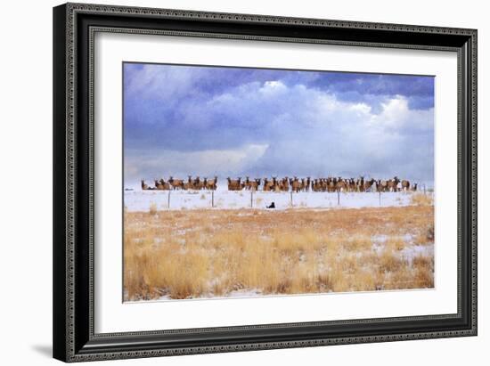 Zippy and the Elk-Chris Vest-Framed Art Print