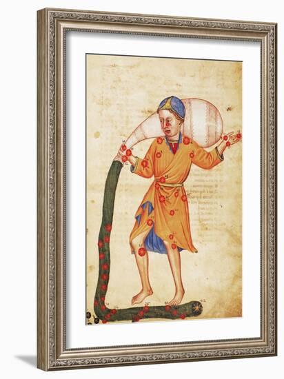 Zodiac: Aquarius, C1350-null-Framed Giclee Print