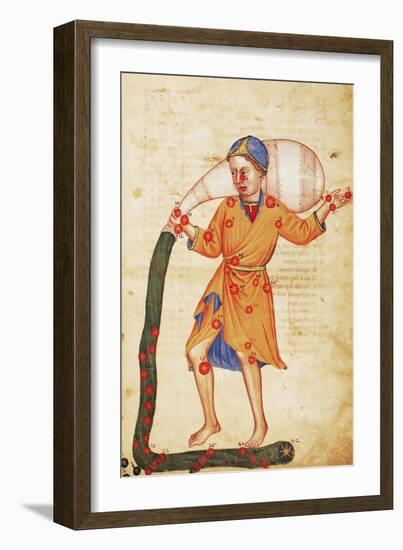 Zodiac: Aquarius, C1350-null-Framed Giclee Print