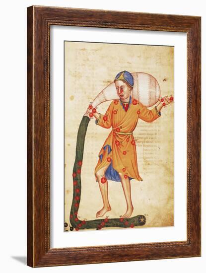 Zodiac: Aquarius, C1350-null-Framed Giclee Print