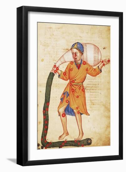 Zodiac: Aquarius, C1350-null-Framed Giclee Print