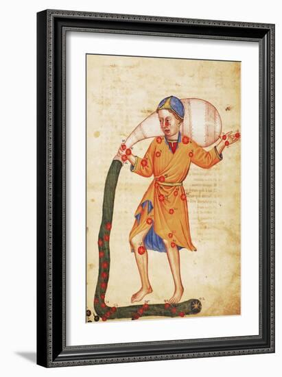 Zodiac: Aquarius, C1350-null-Framed Giclee Print