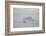 Zodiac Boat near an Iceberg-DLILLC-Framed Photographic Print