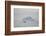 Zodiac Boat near an Iceberg-DLILLC-Framed Photographic Print