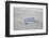 Zodiac Boat near an Iceberg-DLILLC-Framed Photographic Print