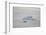 Zodiac Boat near an Iceberg-DLILLC-Framed Photographic Print