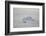 Zodiac Boat near an Iceberg-DLILLC-Framed Photographic Print