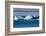 Zodiac cruising back to a cruise ship anchoring behind an iceberg, Brown Bluff, Antarctica, Polar R-Michael Runkel-Framed Photographic Print