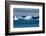 Zodiac cruising back to a cruise ship anchoring behind an iceberg, Brown Bluff, Antarctica, Polar R-Michael Runkel-Framed Photographic Print