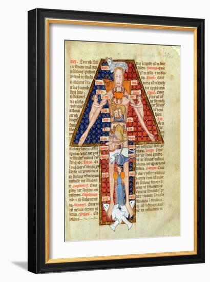 Zodiac Man, from a Calendar or Astrological Notes, English 14th-15th Century-null-Framed Giclee Print