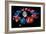 Zodiac Signs-Detlev Van Ravenswaay-Framed Photographic Print