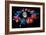 Zodiac Signs-Detlev Van Ravenswaay-Framed Photographic Print