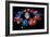 Zodiac Signs-Detlev Van Ravenswaay-Framed Photographic Print