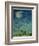 Zodiac Sky-Wayne Anderson-Framed Giclee Print