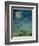 Zodiac Sky-Wayne Anderson-Framed Giclee Print