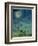 Zodiac Sky-Wayne Anderson-Framed Giclee Print