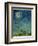 Zodiac Sky-Wayne Anderson-Framed Giclee Print