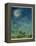 Zodiac Sky-Wayne Anderson-Framed Premier Image Canvas