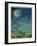 Zodiac Sky-Wayne Anderson-Framed Giclee Print