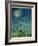 Zodiac Sky-Wayne Anderson-Framed Giclee Print