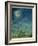 Zodiac Sky-Wayne Anderson-Framed Giclee Print