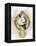 Zodiac Sphere II-Oliver Jeffries-Framed Stretched Canvas