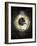 Zodiac Sphere IV-Oliver Jeffries-Framed Art Print