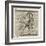 Zodiac-Gaius Julius Hyginus-Framed Photographic Print