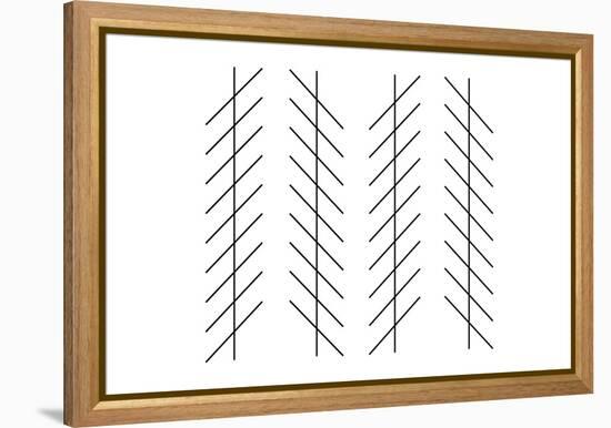 Zoellner Illusion-Science Photo Library-Framed Premier Image Canvas