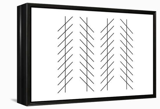 Zoellner Illusion-Science Photo Library-Framed Premier Image Canvas