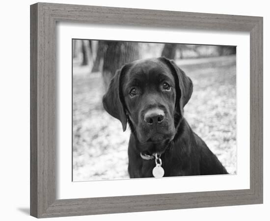 Zoey-Kim Levin-Framed Photographic Print