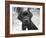 Zoey-Kim Levin-Framed Photographic Print