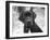 Zoey-Kim Levin-Framed Photographic Print