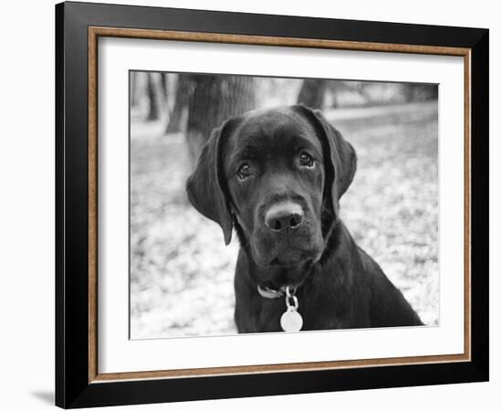 Zoey-Kim Levin-Framed Photographic Print