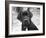 Zoey-Kim Levin-Framed Photographic Print