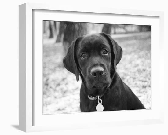 Zoey-Kim Levin-Framed Photographic Print