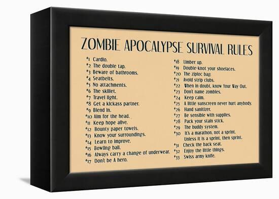 Zombie Apocalypse Rules Movie-null-Framed Stretched Canvas