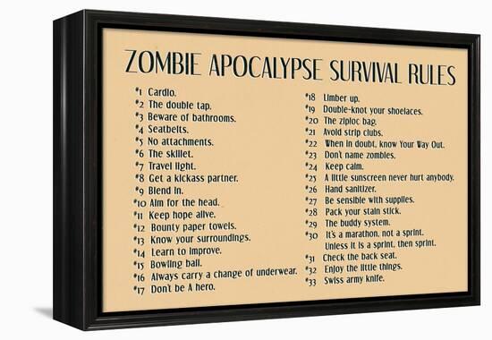 Zombie Apocalypse Rules Movie-null-Framed Stretched Canvas