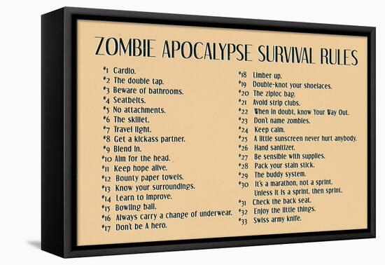 Zombie Apocalypse Rules Movie-null-Framed Stretched Canvas